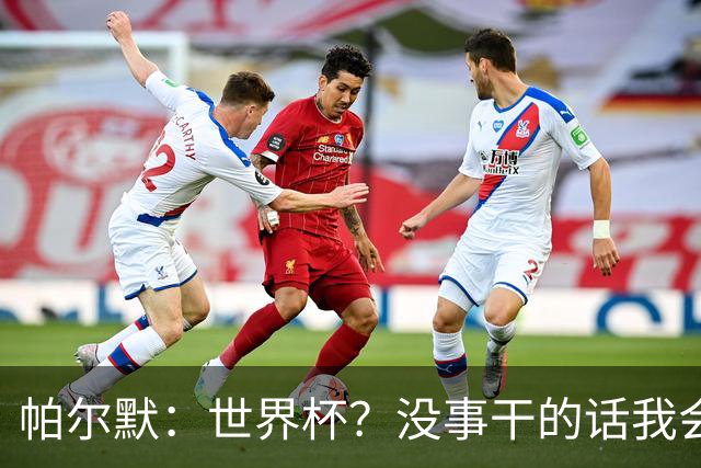 帕尔默：世界杯？没事干的话我会看看，我希望他们能走到最后